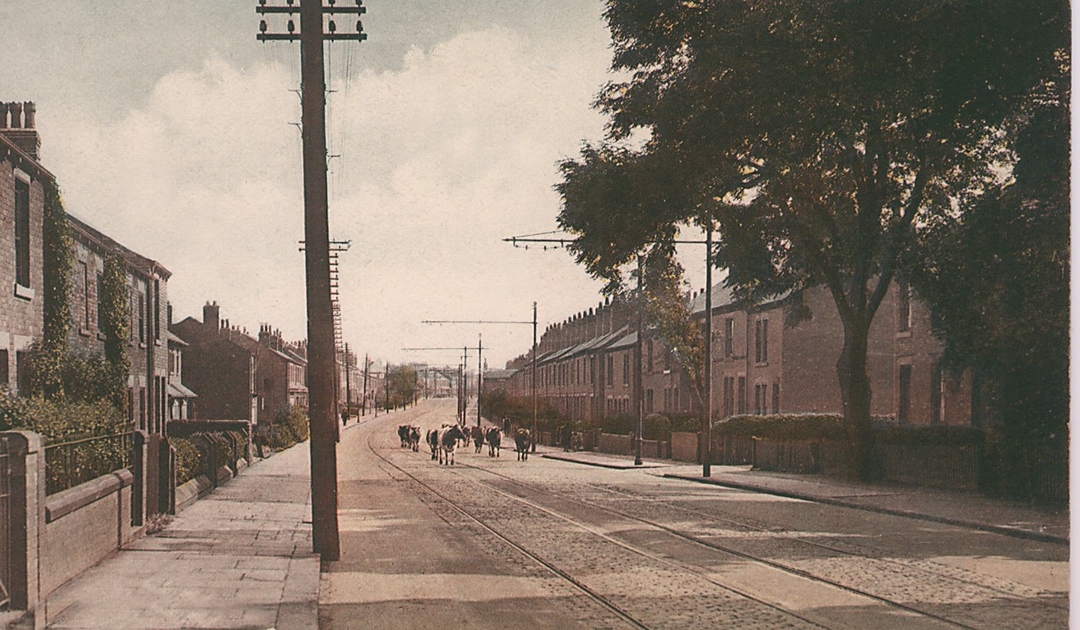 N1_20